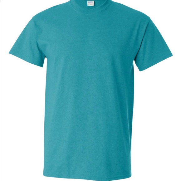 Men’s Antique Jade Dome Adult Heavy Cotton Short Sleeve T-Shirt - Picture 1 of 1